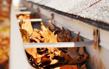 Devonside gutter cleaning companies