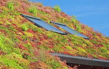 Devonside living roof systems