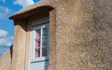 Devonside thatch roof disadvantages